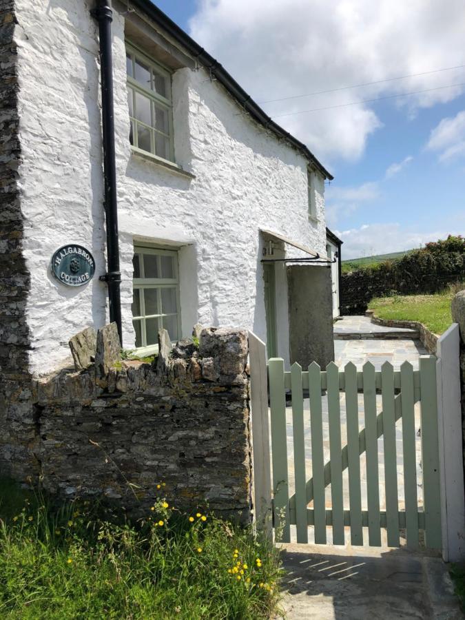 Picture Perfect Cottage In Rural Tintagel Eksteriør bilde