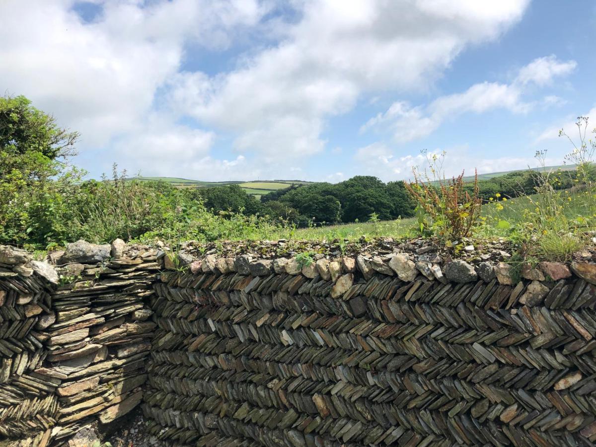 Picture Perfect Cottage In Rural Tintagel Eksteriør bilde