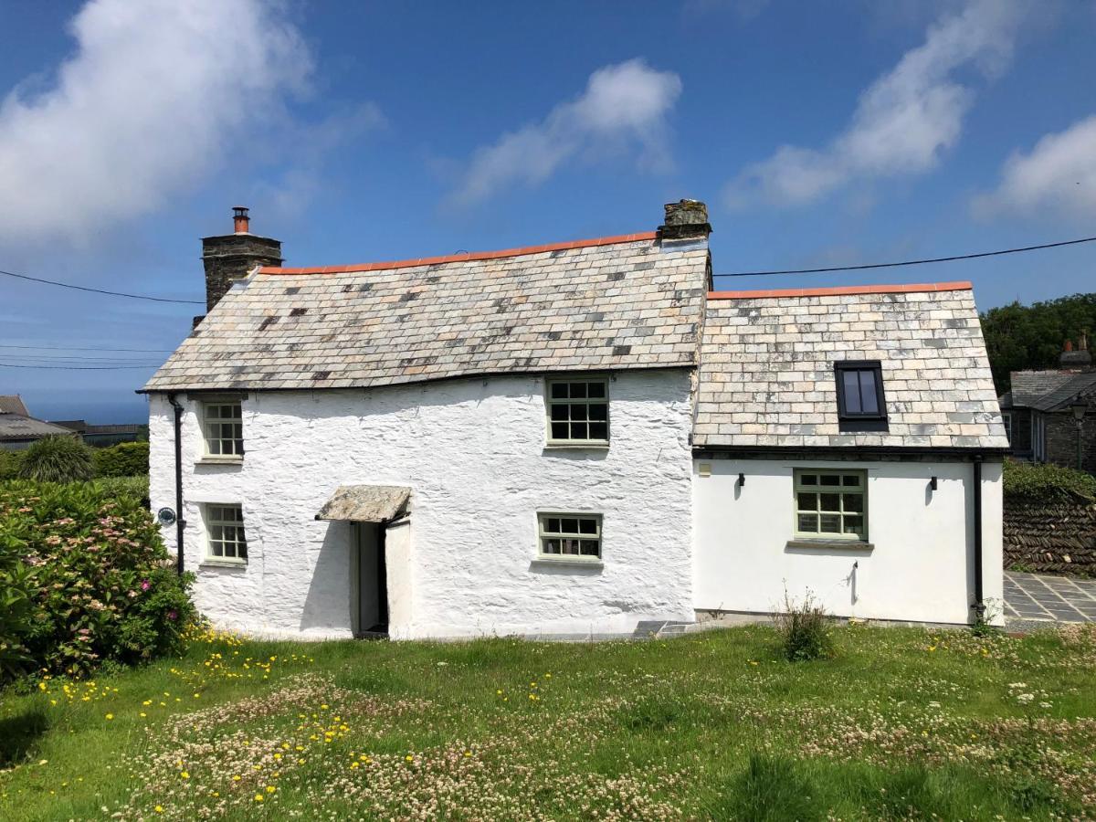 Picture Perfect Cottage In Rural Tintagel Eksteriør bilde