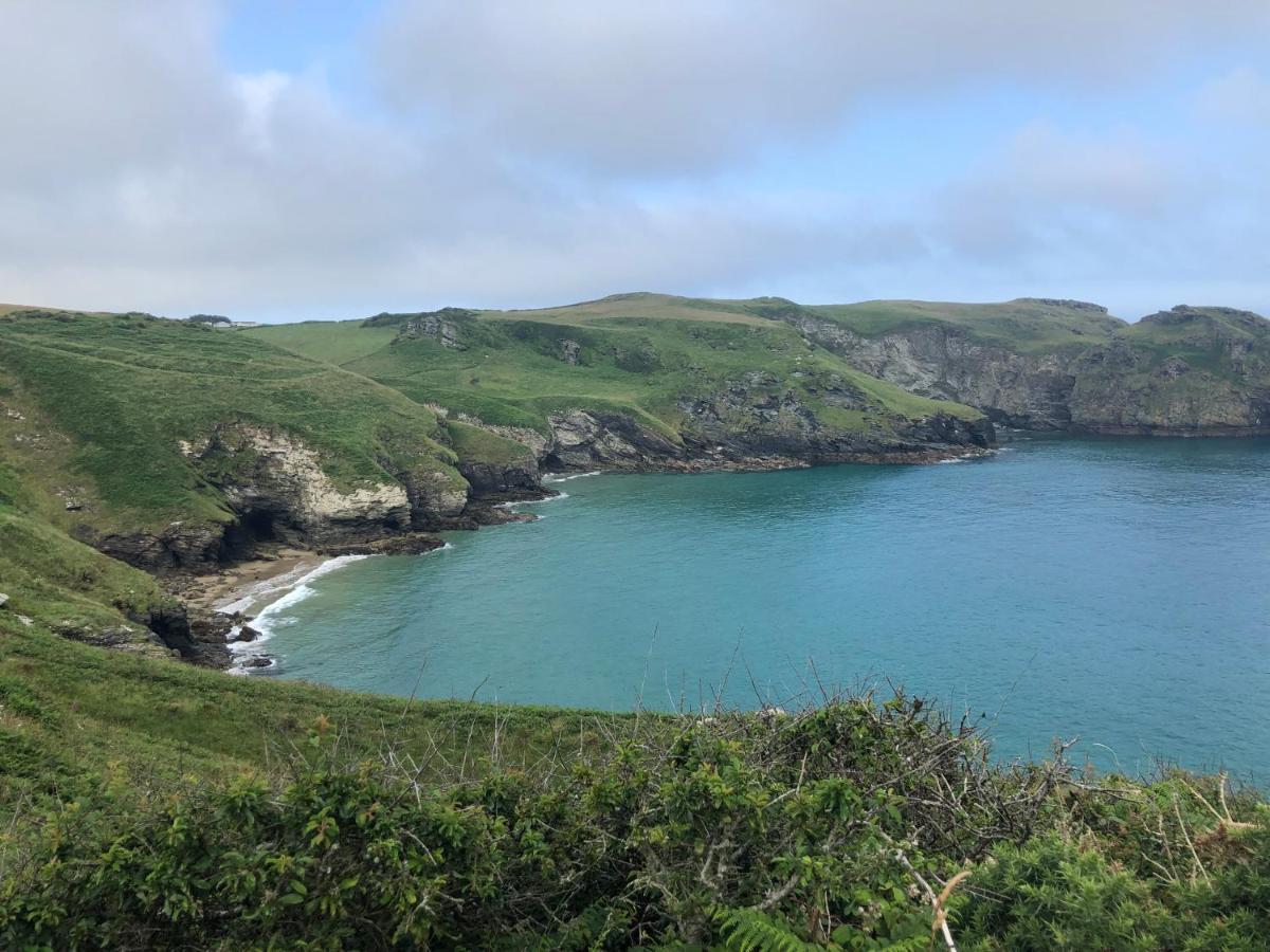 Picture Perfect Cottage In Rural Tintagel Eksteriør bilde